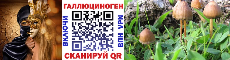 МЕГА маркетплейс Вольск Галлюциногенные грибы Cubensis