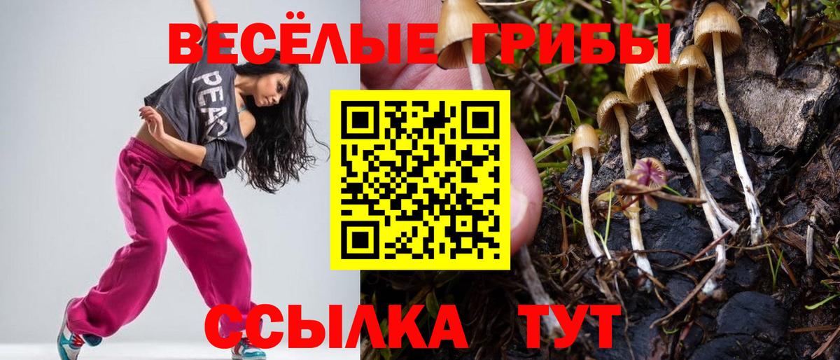 Вольск  Кокаин  Каннабис  Меф кристаллы  НБОМе  Вход с VPN  ГАШ 