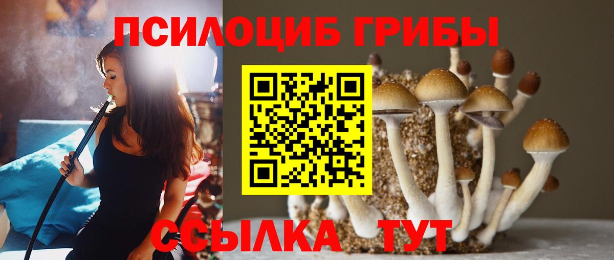 Вольск  Галлюциногенные грибы прущие грибы  наркота  Вход с VPN 